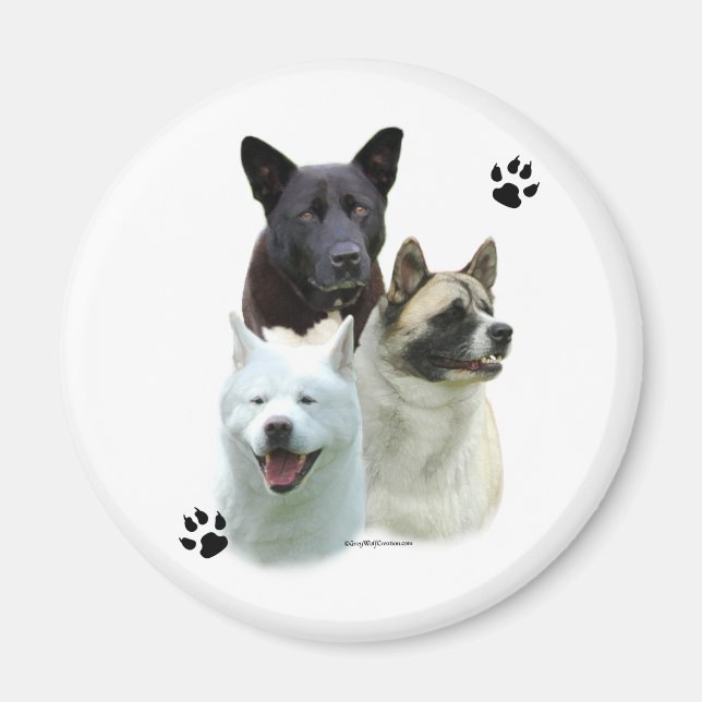 Akita Trio - Magnet (Front)