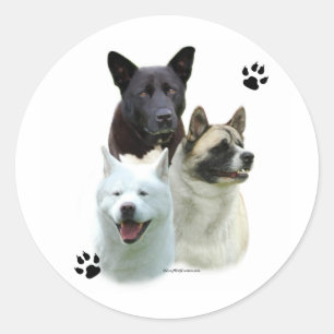 Akita Trio - Sticker