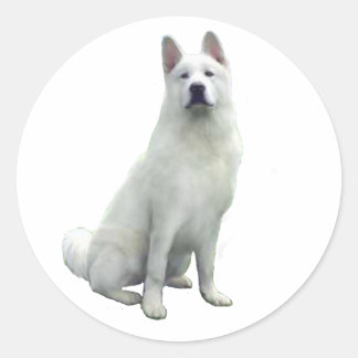 Akita - White Classic Round Sticker
