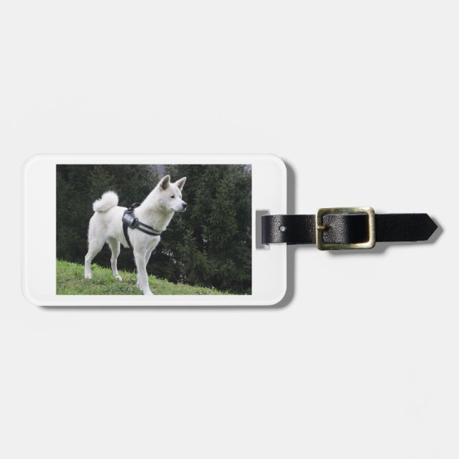 akita white colours luggage tag (Front Horizontal)