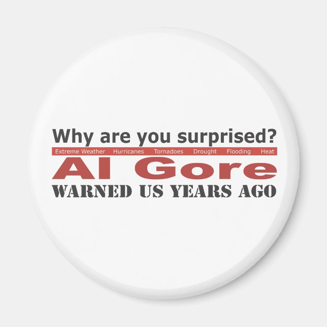 Al Gore Warned Us Magnet (Front)