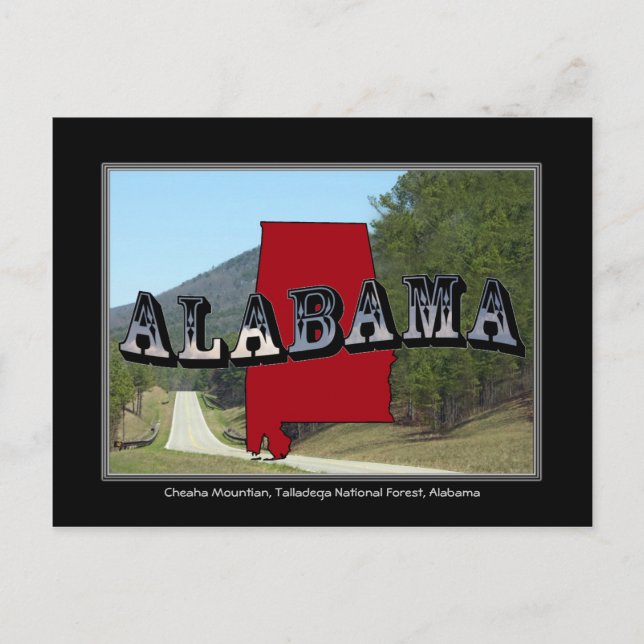 Alabama Cheaha Mountain Talladega Forest Post Card (Front)