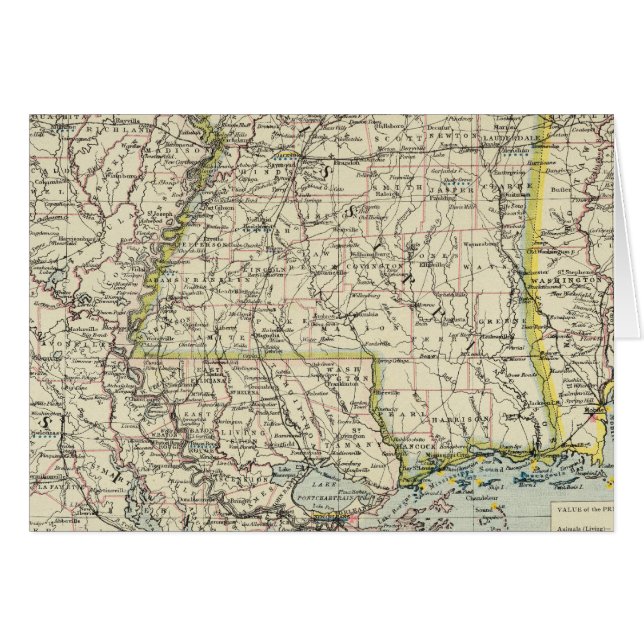 Alabama, Mississippi, Louisiana, Arkansas (Front Horizontal)
