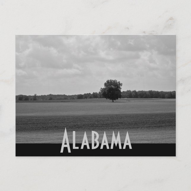 Alabama Postcard (Front)