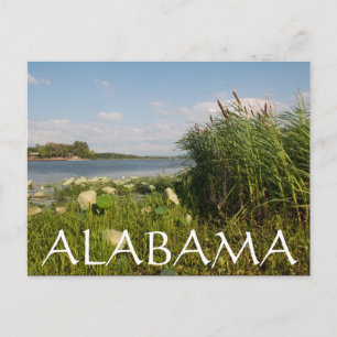 Alabama Postcard
