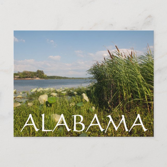 Alabama Postcard (Front)