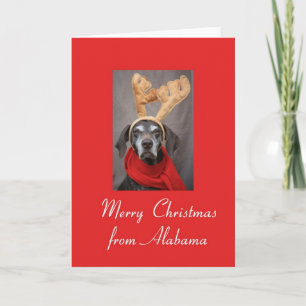 Alabama reindeer pointer merry x-mas holiday card