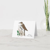 Alabama State Bird: Northern Flicker