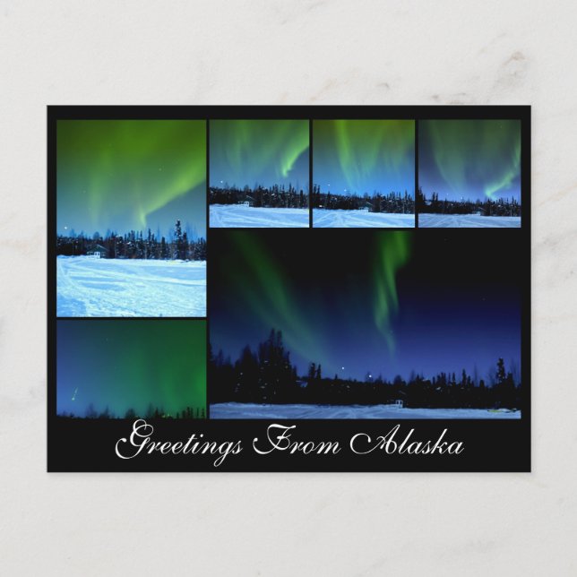 Alaksa Aurora Collage Postcard (Front)