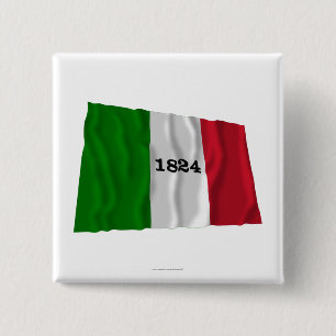 Alamo Flag 15 Cm Square Badge
