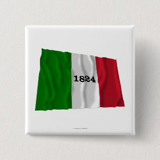 Alamo Flag 15 Cm Square Badge