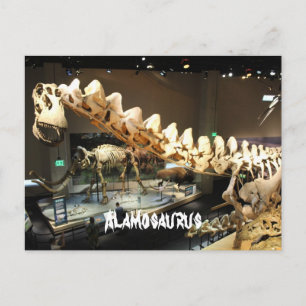 Alamosaurus # 2 postcard