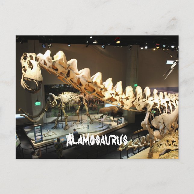 Alamosaurus # 2 postcard (Front)