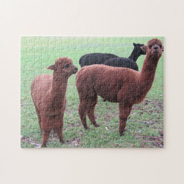 alapca gang jigsaw puzzle (Horizontal)