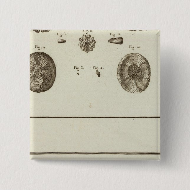 Alaska 15 Cm Square Badge (Front)