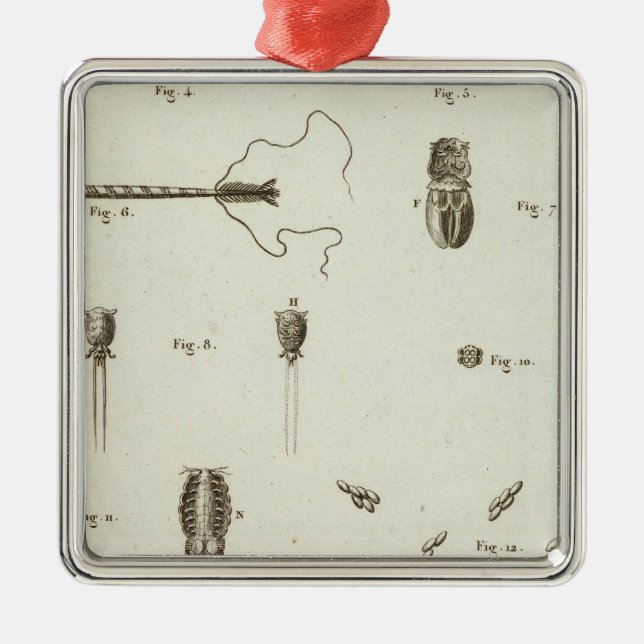 Alaska 3 metal tree decoration (Front)