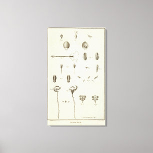 Alaska 5 canvas print