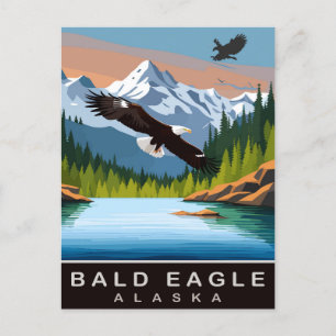 Alaska, Bald Eagle, Travel Postcard