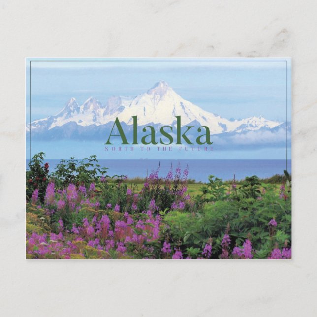 Alaska Beautiful Nature Postcard (Front)