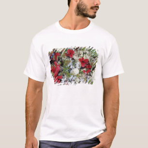Alaska, Denali National Park, Arctic tundra is T-Shirt