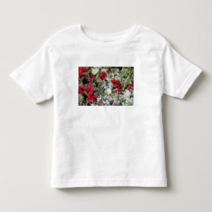Alaska, Denali National Park, Arctic tundra is Toddler T-Shirt