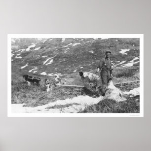 Alaska Dog Team Hunting 1912 Poster