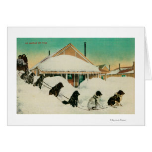 Alaska Dogsled Team resting in SnowState