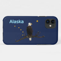 Alaska Eagle And Flag