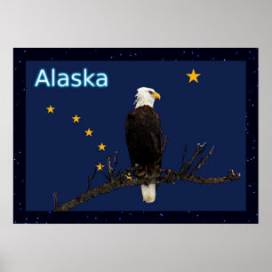 Alaska Eagle And Flag Poster