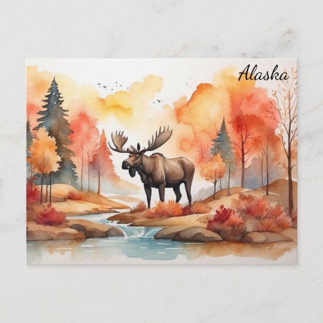 Alaska Fall Nature Watercolor Moose Travel Postcard (Front)