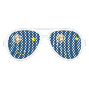 Alaska flag aviator sunglasses