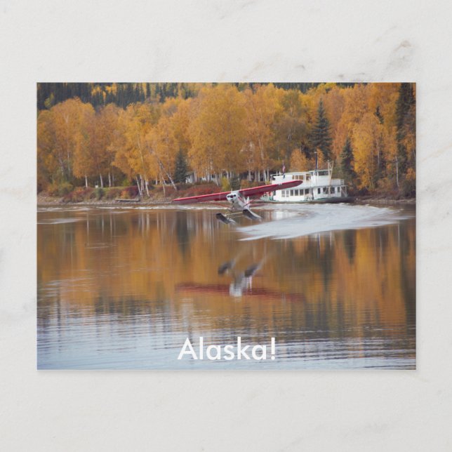 Alaska, Floatplane, Riverboat, Birch trees in Fall Postcard (Front)
