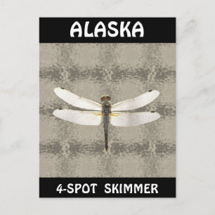Alaska Four Spot Skimmer Dragonfly Postcard