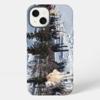 Alaska Husky Dog Sled Race