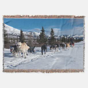 Alaska Husky Dog Sled Race Throw Blanket