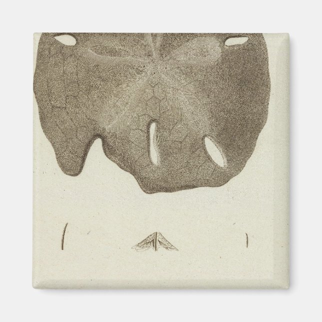 Alaska Magnet (Front)