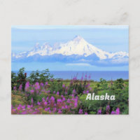 Alaska, Mount Iliamna Glacier and Fireweed Flowers