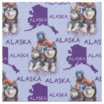 Alaska Musher And His Dogs