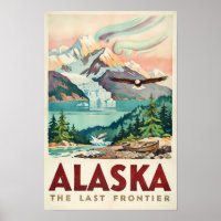 Alaska Northern Lights Bald Eagle Illustration