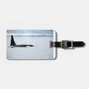 Alaska - Orca Luggage Tag