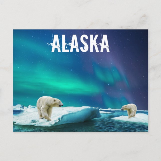 Alaska Polar Bears Aurora Borealis Postcard (Front)