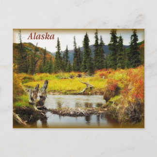 Alaska Postcard