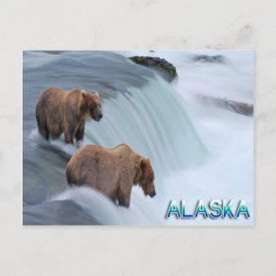 Alaska Postcard
