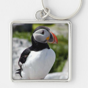 Alaska Puffins Feathered Colourful Birds Key Ring