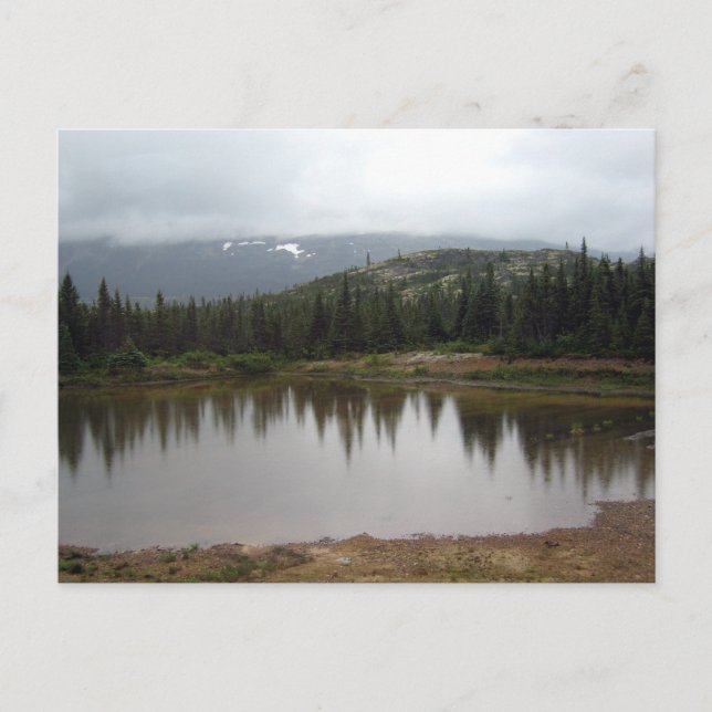 Alaska Reflections Postcard (Front)