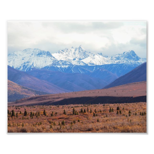 Alaska, Snowy Mountains, Fall Foothills, Denali Photo Print (Front)