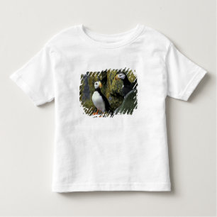 Alaska, St. Paul Island, the Pribilofs, horned Toddler T-Shirt