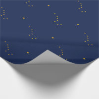 Alaska State Flag