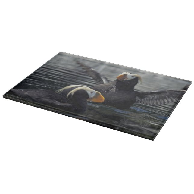 Alaska Tufted puffins Cutting Board (Corner)