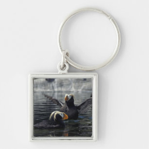 Alaska Tufted puffins Key Ring